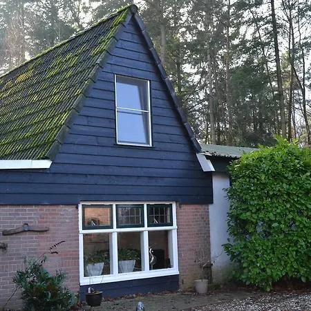 De Hooge Woeste
