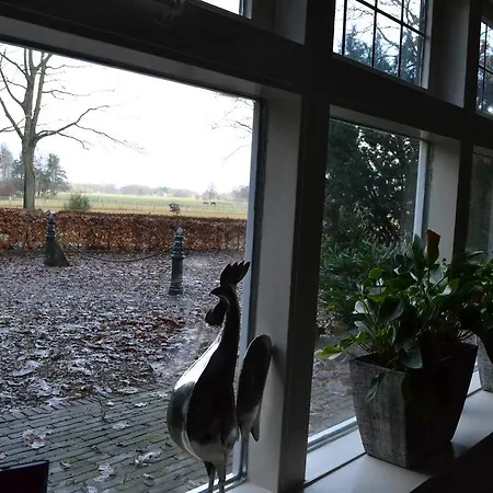 Holiday home De Hooge Woeste Emst