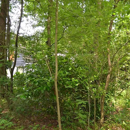 Holiday home De Hooge Woeste *