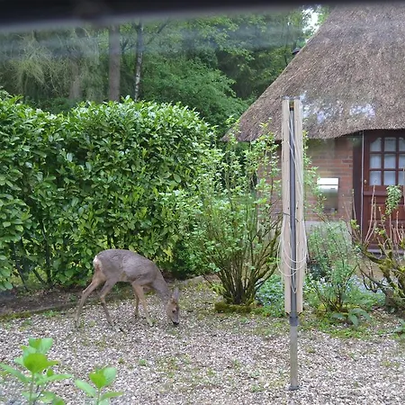 Dom wakacyjny De Hooge Woeste *