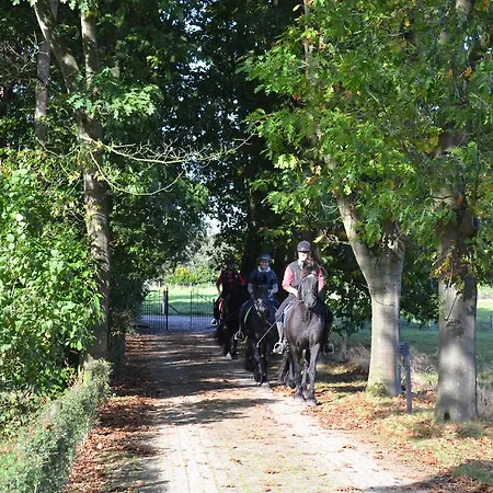 De Hooge Woeste