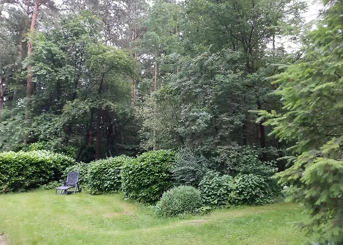 Holiday home De Hooge Woeste Emst