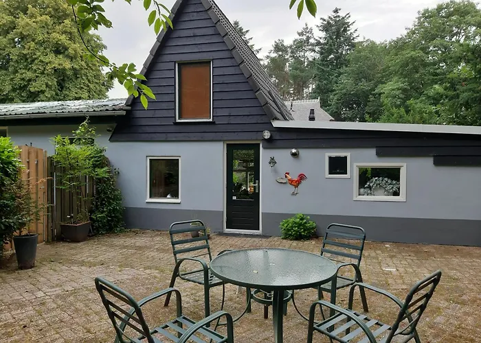 Holiday home De Hooge Woeste Emst