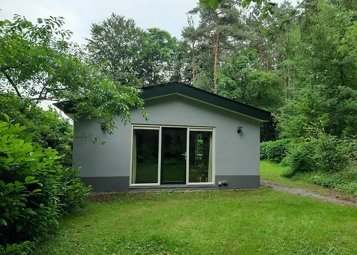 Holiday home De Hooge Woeste Emst