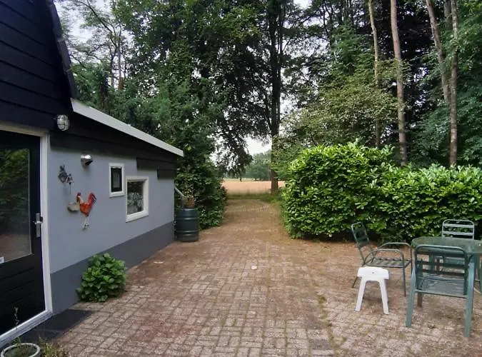 Holiday home De Hooge Woeste Emst