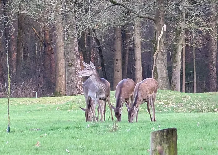 De Hooge Woeste Holiday home *