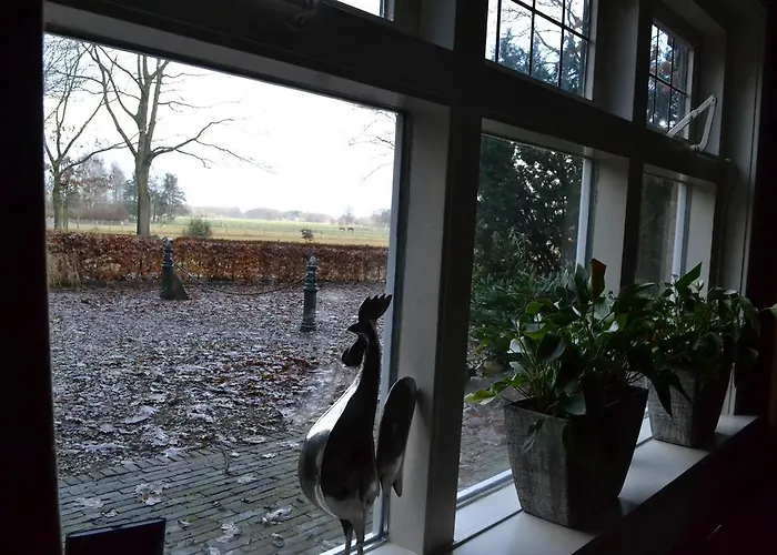 Holiday home De Hooge Woeste Emst