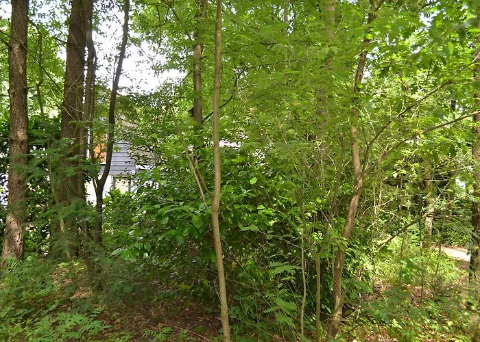 Holiday home De Hooge Woeste *