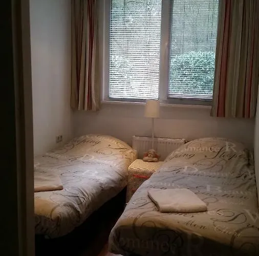 Holiday home De Hooge Woeste Emst