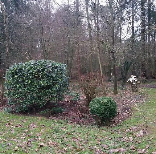 De Hooge Woeste Holiday home Emst