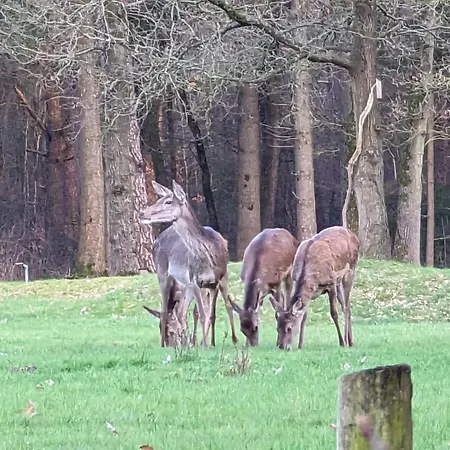 De Hooge Woeste Holiday home *