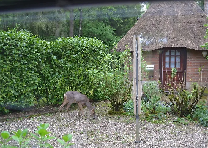 Semesterbostad De Hooge Woeste *