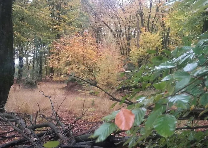 Semesterbostad De Hooge Woeste